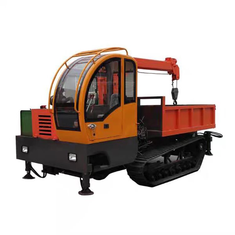 Mini Crawler Crane